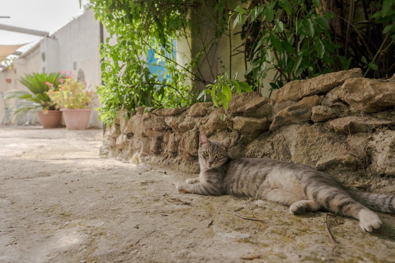 Willa Le Querce Procida Zewnętrze zdjęcie